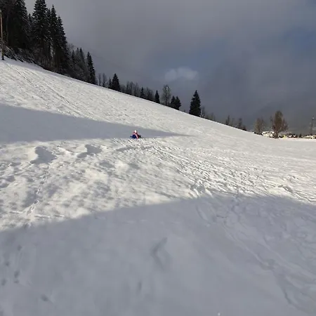 Appartement Grabenbauer Flachau